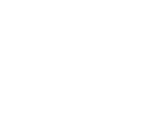 Nasoya Group